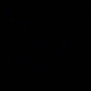 Meet your Posher, Abdoulaye